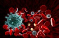 Какой на самом деле срок сохранения антител в крови у перенесших COVID-19: ученые