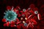 Какой на самом деле срок сохранения антител в крови у перенесших COVID-19: ученые