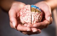 Опасно для мозга: как дефицит витамина B12 способен спровоцировать когнитивные нарушения и инсульт