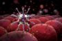 В Южной Африке обнаружили новый вариант коронавируса с 32 мутациями » Фармвестник
