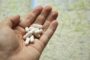 В Минэкономразвития заявили о согласовании проекта по онлайн-продаже рецептурных лекарств » Фармвестник