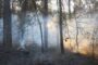 Скрытые опасности лесных пожаров. 7 важных советов врачей