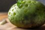 Почему зеленеет картофель при хранении длительный период: причины и способы это предотвратить